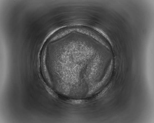 X0000084031031200703092006