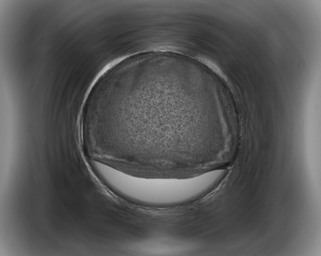 X0000084031032200703092006