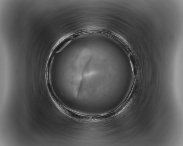 X0000084031034200703092006