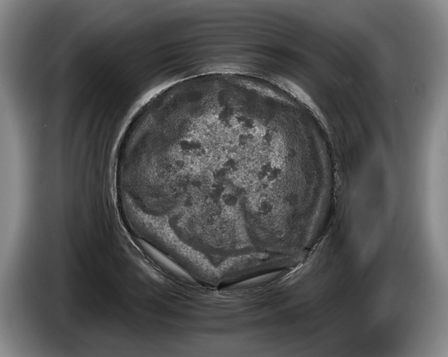 X0000084031035200703092006