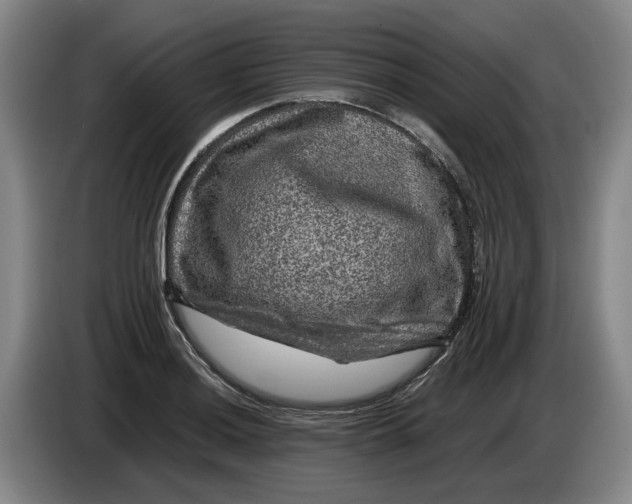 X0000084031036200703092006