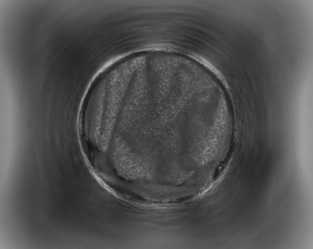 X0000084031037200703092006