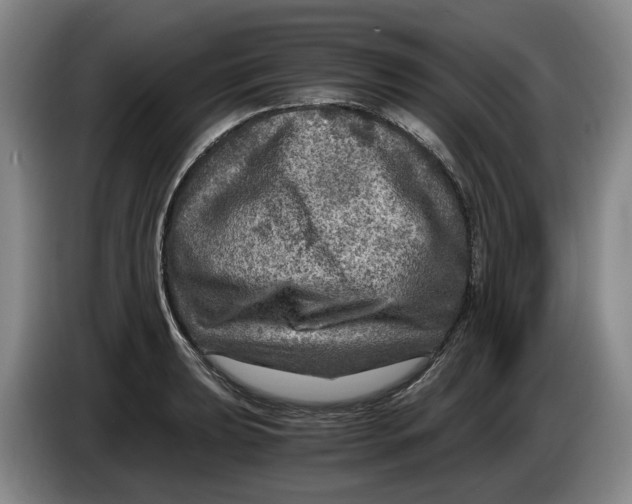 X0000084031039200703092006