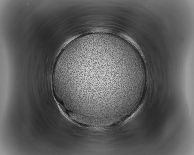 X0000084031041200703092006