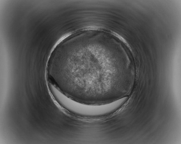 X0000084031042200703092006