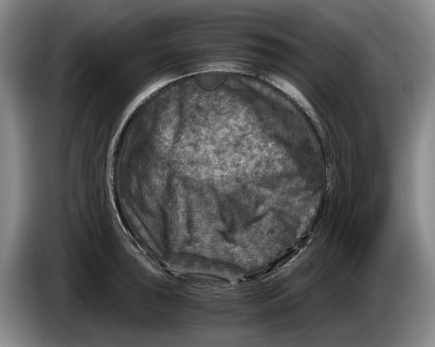 X0000084031043200703092006