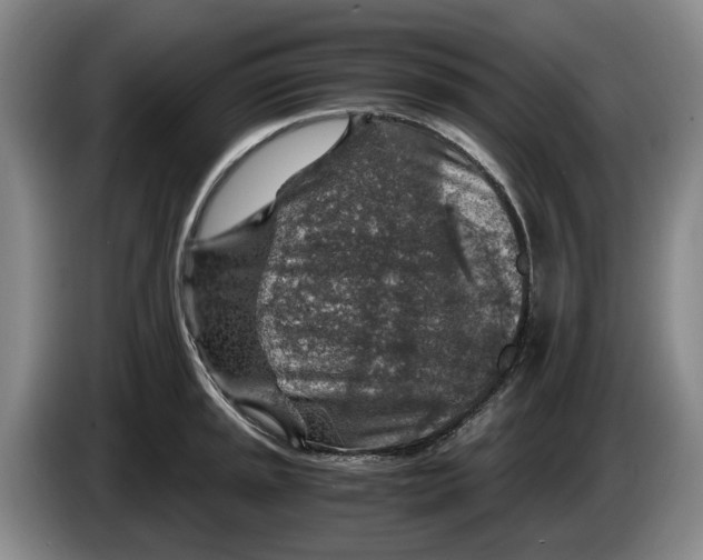 X0000084031045200703092006