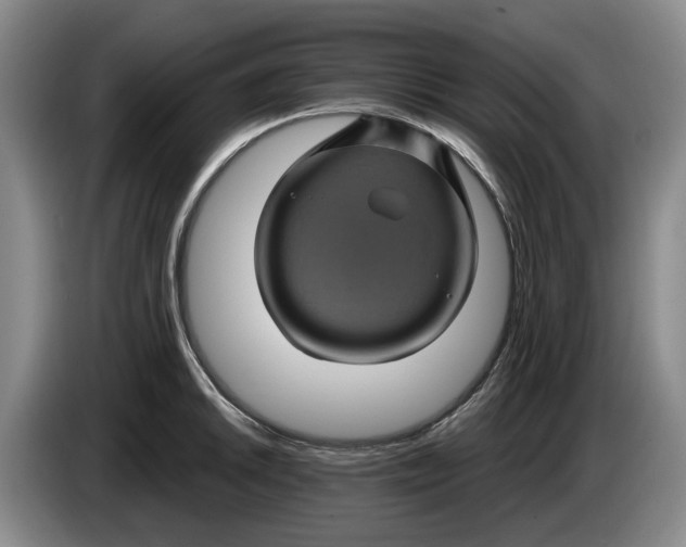 X0000084031046200703092006