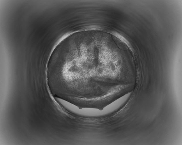 X0000084031047200703092006