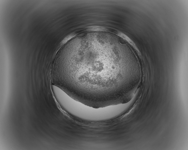 X0000084031049200703092006