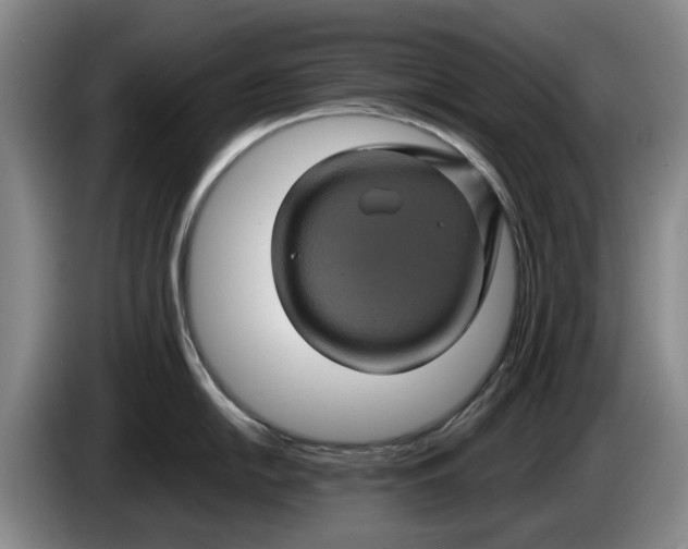 X0000084031054200703092006