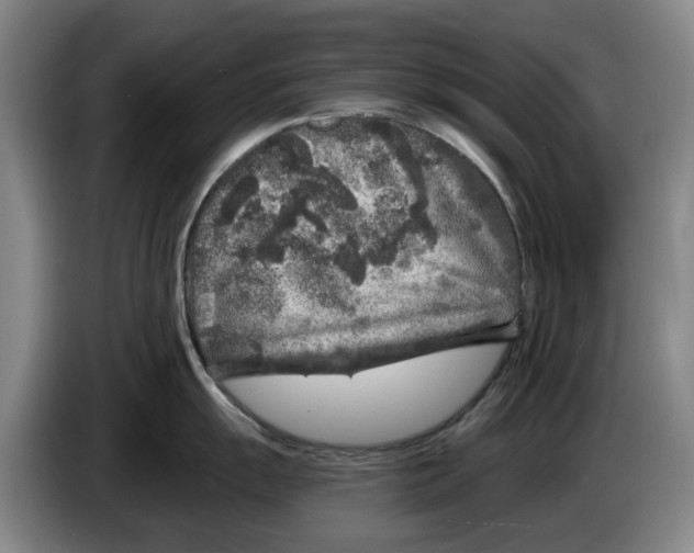 X0000084031055200703092006