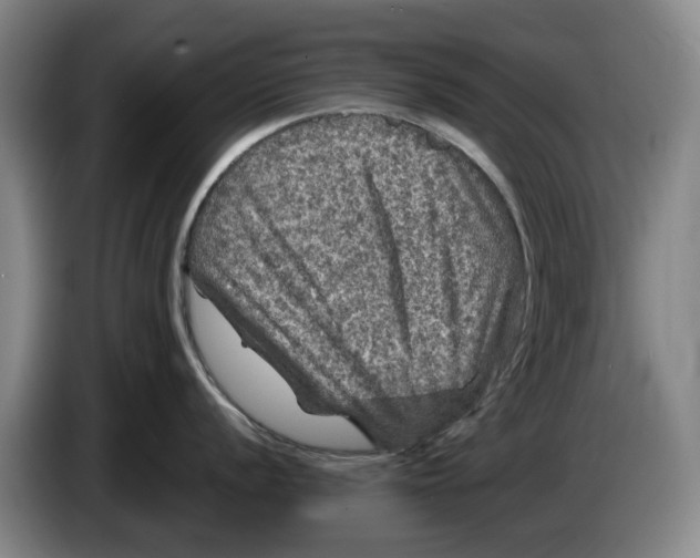 X0000084031056200703092006