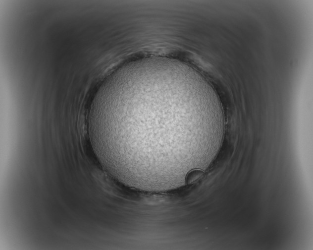 X0000084031058200703092005