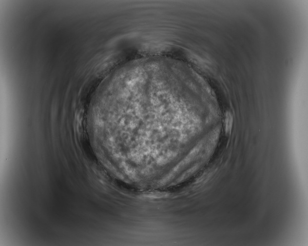 X0000084031059200703092005