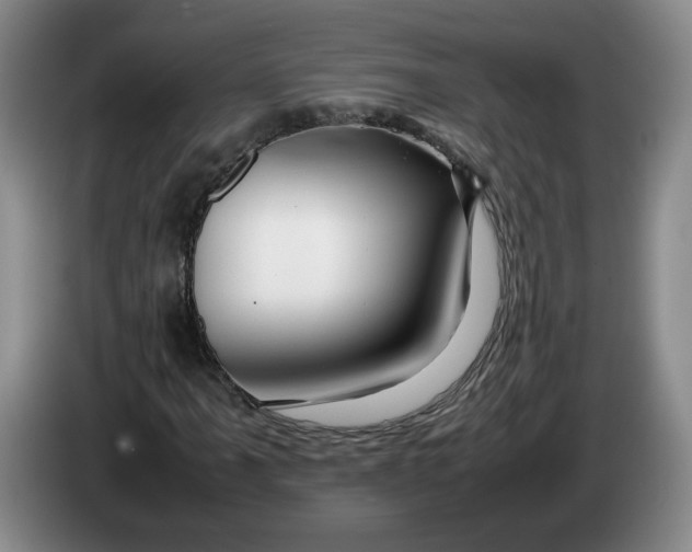 X0000084031061200703092005