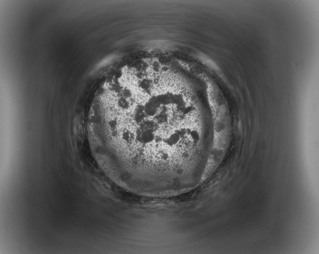 X0000084031063200703092005