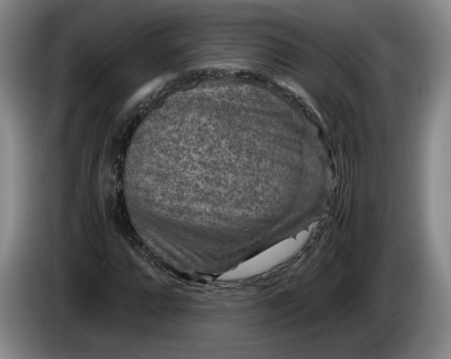 X0000084031064200703092005