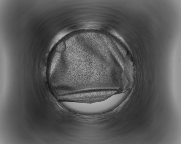 X0000084031066200703092005