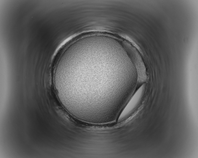 X0000084031069200703092005