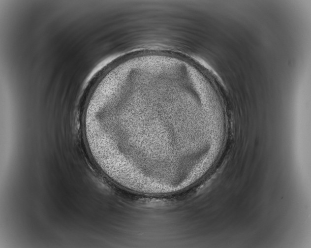 X0000084031070200703092005