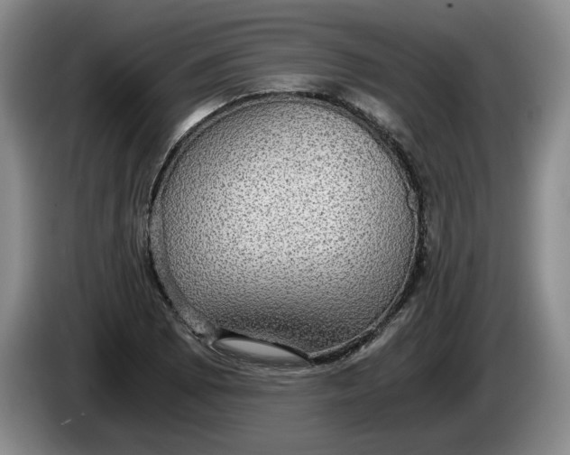 X0000084031073200703092005