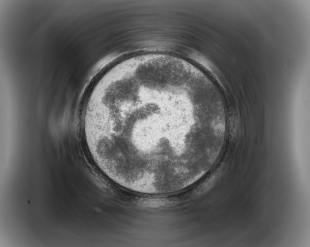 X0000084031074200703092005