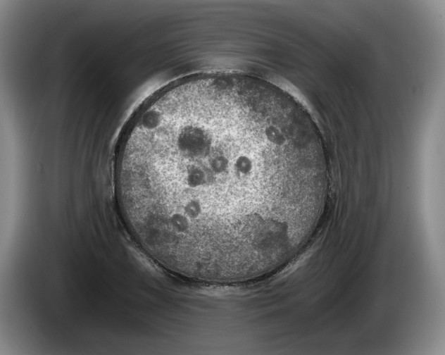 X0000084031075200703092005