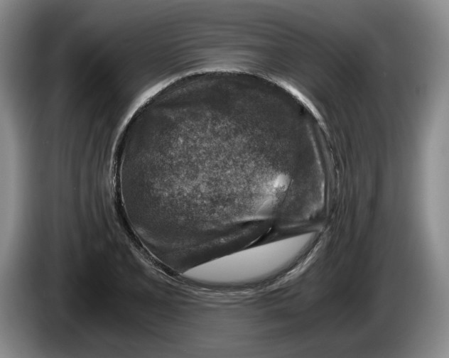 X0000084031077200703092005