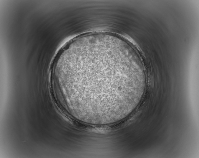 X0000084031078200703092005