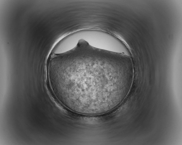 X0000084031079200703092005