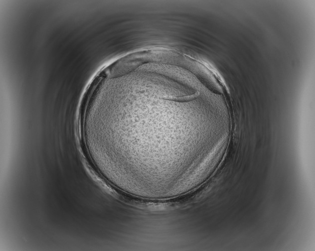 X0000084031080200703092005