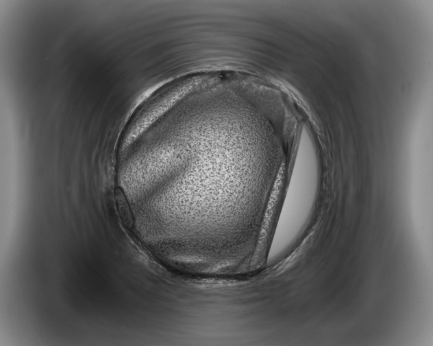 X0000084031081200703092005