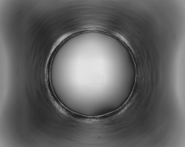 X0000084031082200703092005