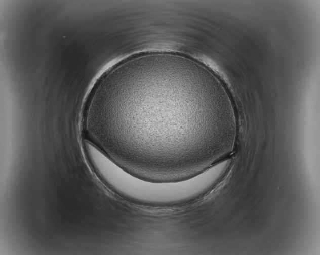 X0000084031085200703092005