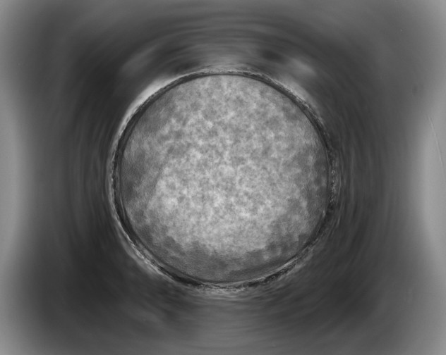 X0000084031086200703092005