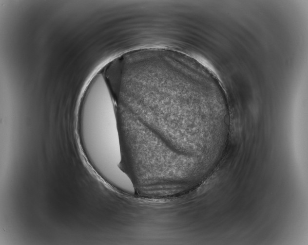 X0000084031088200703092005