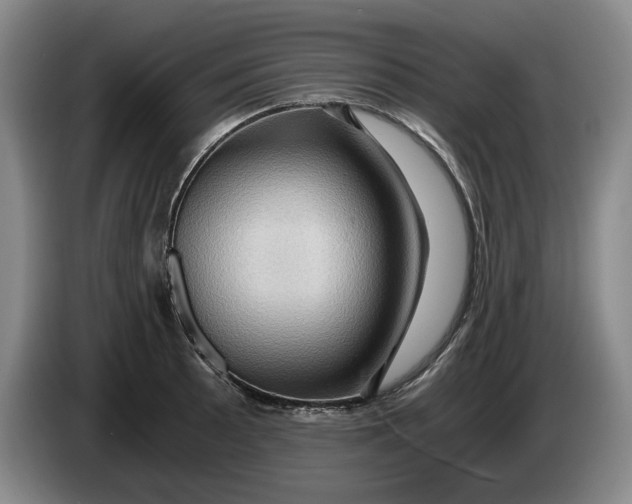 X0000084031089200703092005