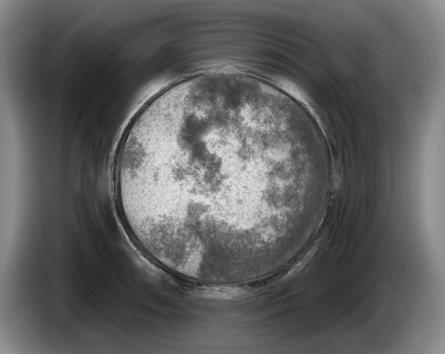 X0000084031090200703092005