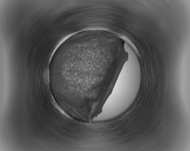 X0000084031092200703092005