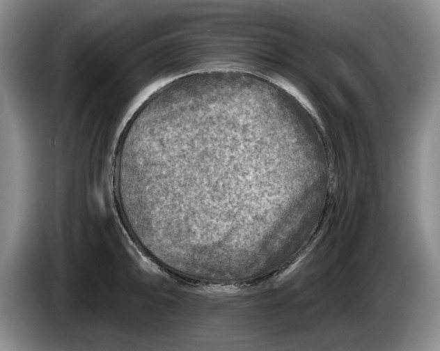 X0000084031094200703092005