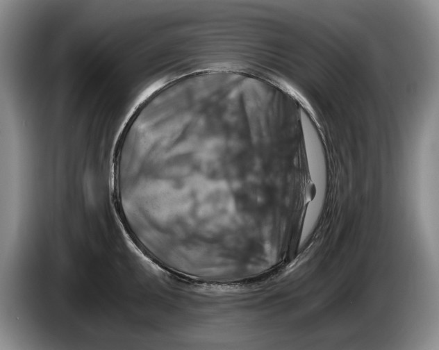 X0000084031095200703092005