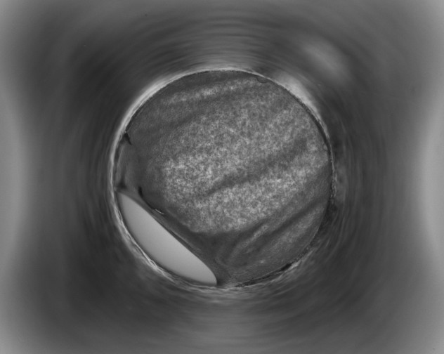 X0000084031096200703092005