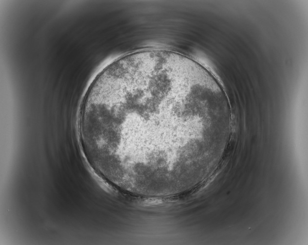 X0000084031098200703092005