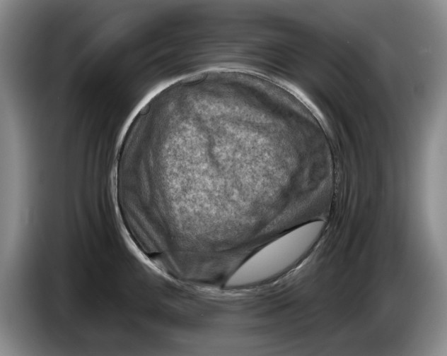 X0000084031100200703092005