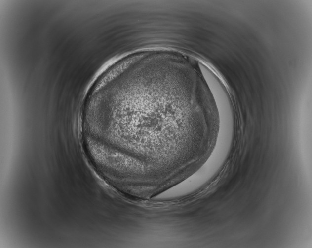 X0000084031101200703092005