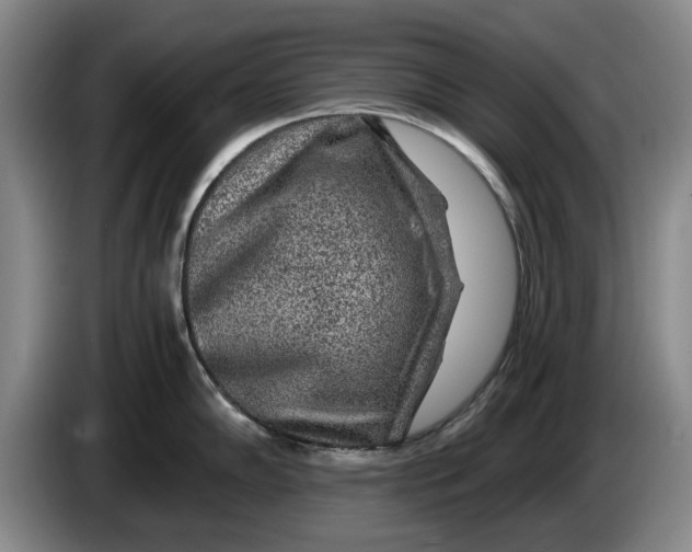 X0000084031102200703092005