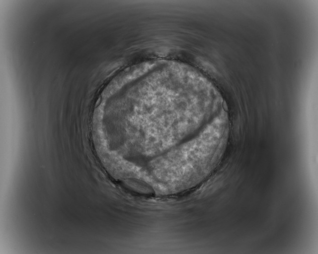 X0000084031105200703092004