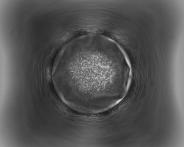 X0000084031106200703092004