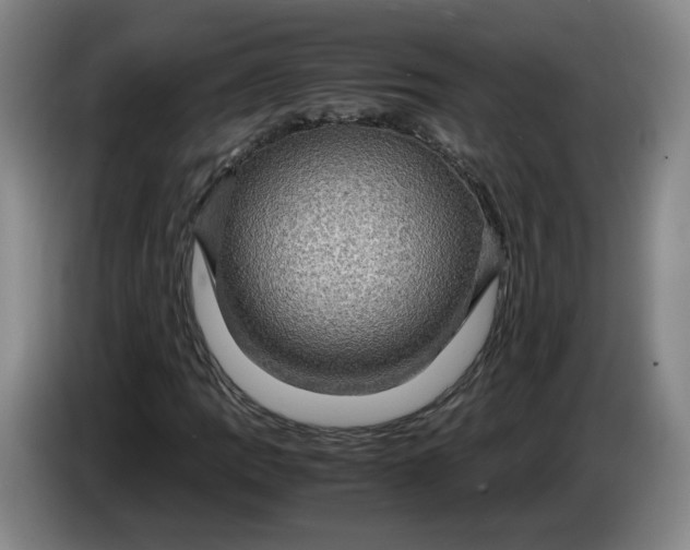 X0000084031109200703092004